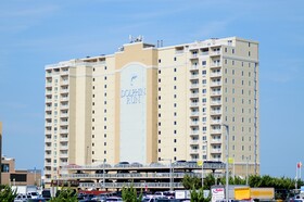 Dolphin Run