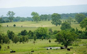 L'Auberge Provencale Bed & Breakfast