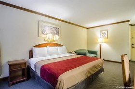 Econo Lodge Colonial