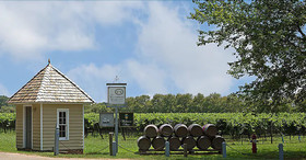 Wedmore Place