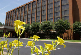 Wyndham Garden Williamsburg Busch Gardens Area