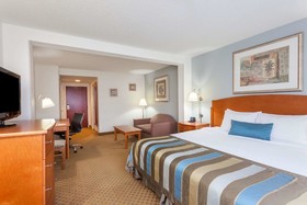 Spark by Hilton Winchester