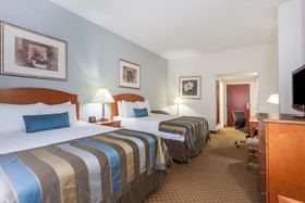 Spark by Hilton Winchester