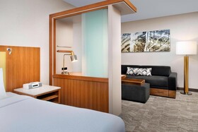 SpringHill Suites by Marriott Potomac Mills Woodbridge