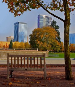 Sheraton Bellevue