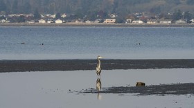 Raintree's Sandcastle, Birch Bay