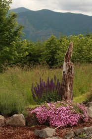 Carson Ridge Private Luxury Cabins