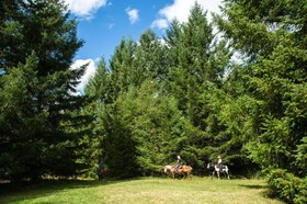 Chehalis RV & Camping Resort