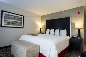 Hampton Inn & Suites DuPont
