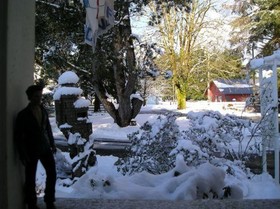 Miller Tree Inn