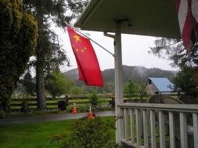 Miller Tree Inn