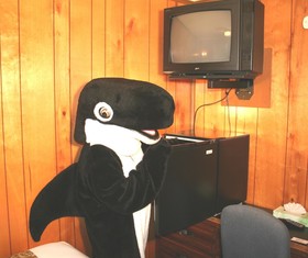 The Orca Inn