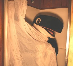 The Orca Inn