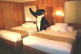 The Orca Inn