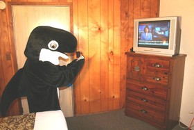The Orca Inn