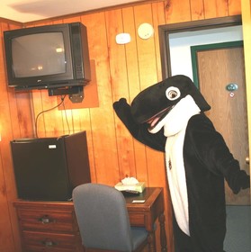 The Orca Inn