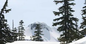 Mount Baker by Mt. Baker Lodging