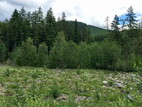 Mount Baker by Mt. Baker Lodging
