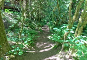 Mount Baker by Mt. Baker Lodging