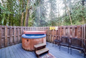 Mount Baker by Mt. Baker Lodging