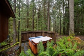 Mount Baker by Mt. Baker Lodging