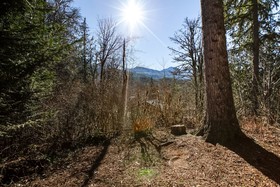 Mount Baker by Mt. Baker Lodging