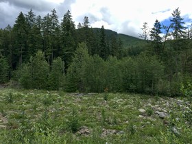 Mount Baker by Mt. Baker Lodging
