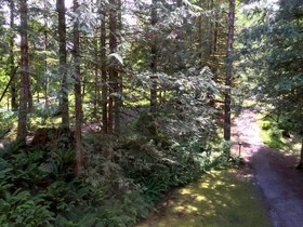 Mount Baker by Mt. Baker Lodging