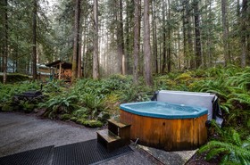Mount Baker by Mt. Baker Lodging