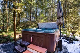 Mount Baker by Mt. Baker Lodging