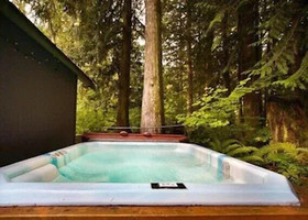 Mount Baker by Mt. Baker Lodging