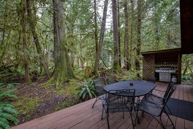 Mount Baker by Mt. Baker Lodging