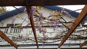 Husum's Riverside Bed And Breakfast