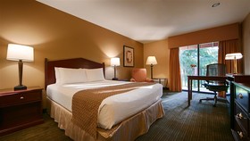 Best Western Plus Plaza By The Green