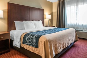 Comfort Inn Lacey - Olympia