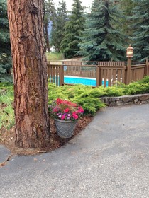 Alpine Rivers Inn