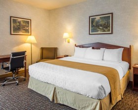 Quality Inn & Suites