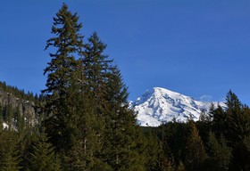 National Park Inn
