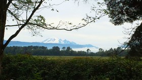 Windmill Inn Lynden By Magnuson Worldwide