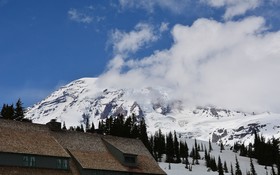 Paradise Inn