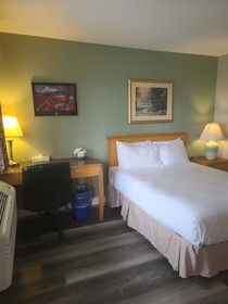 Tulip Inn