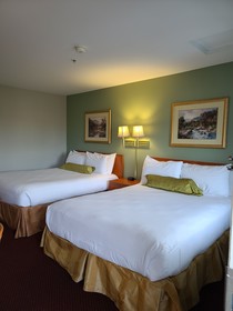 Tulip Inn