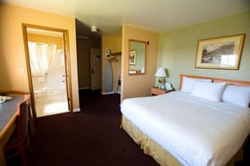 Tulip Inn