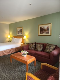 Tulip Inn