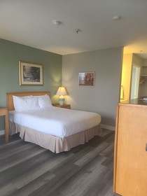 Tulip Inn
