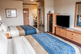 Comfort Inn & Suites