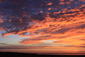 Pacific Sunsrise Inn and Suites