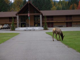Cowlitz River Lodge