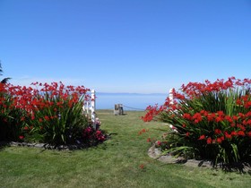 Sea Cliff Gardens Bed & Breakfast