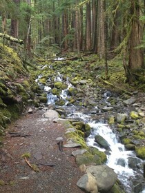Super 8 by Wyndham Port Angeles at Olympic National Park